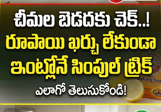 2 Gemini_Generated_Image_njw5ytnjw5ytnjw5