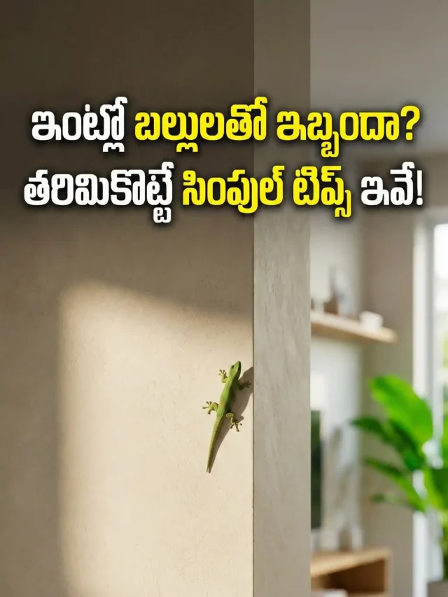 ఇంట్లో బల్లులతో ఇబ్బందా? తరిమికొట్టే సింపుల్ టిప్స్ ఇవే!