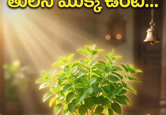 tulasi Gemini_Generated_Image_wfjvjjwfjvjjwfjv (1)