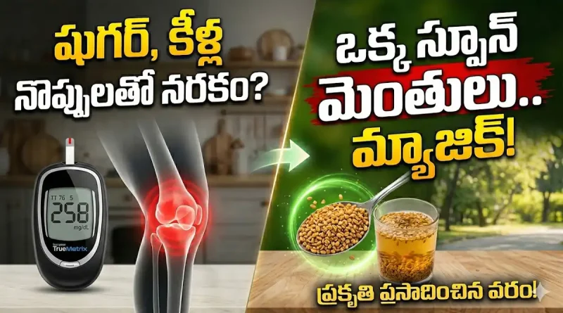 Fenugreek seeds:షుగర్ వ్యాధి, కీళ్ల నొప్పులకు ఒకే ఒక్క పరిష్కారం.. మన వంటగదిలోని మెంతులు!