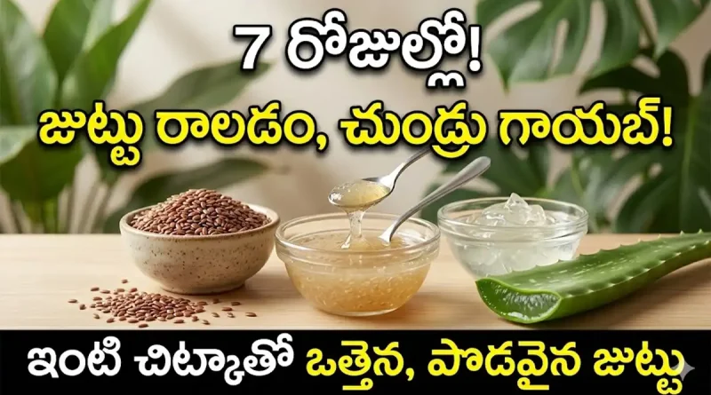 Hair Care Tips:కేవలం 7 రోజుల్లో జుట్టు రాలే సమస్య, చుండ్రు మాయం.. ఇంట్లోనే తయారు చేసుకునే అద్భుతమైన జెల్!
