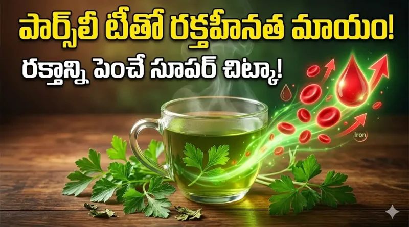 Parsley :శరీరంలో రక్తం కొరత ఉందా? కొత్తిమీరలా కనిపించే ఈ ఆకుతో రక్తహీనత మాయం!