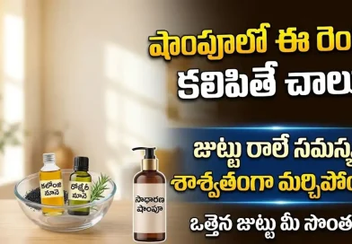 Hair Care Tips:షాంపూలో ఈ రెండు కలిపి వాడితే చాలు.. ఊడటమే మర్చిపోయేలా మీ జుట్టు ఒత్తుగా పెరుగుతుంది!