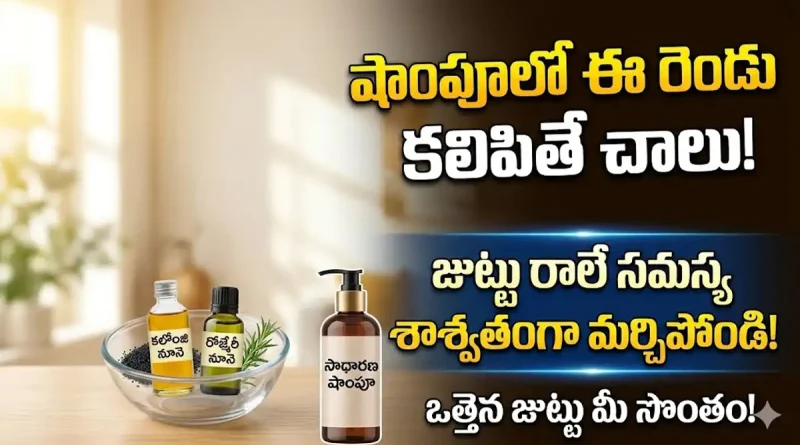 Hair Care Tips:షాంపూలో ఈ రెండు కలిపి వాడితే చాలు.. ఊడటమే మర్చిపోయేలా మీ జుట్టు ఒత్తుగా పెరుగుతుంది!