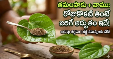 Betel leaf and Ajwain benefits in Telugu