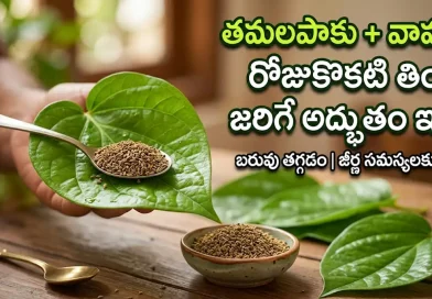 Betel leaf and Ajwain benefits in Telugu