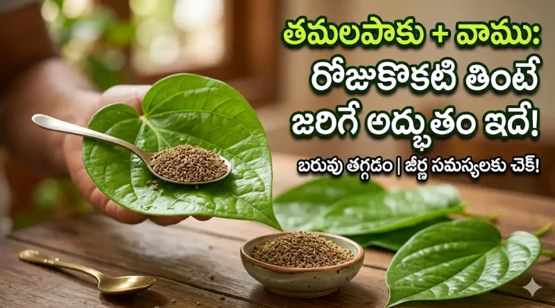 Betel leaf and Ajwain benefits in Telugu