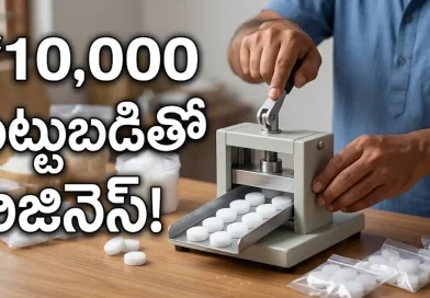 Low Investment Home Business Ideas in Telugu