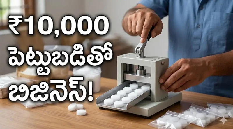 Low Investment Home Business Ideas in Telugu