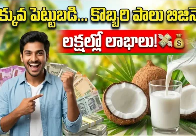 తెల్ల బంగారంతో లక్షల్లో లాభాలు: తక్కువ పెట్టుబడితో అదిరిపోయే బిజినెస్ ఐడియా మీ కోసమే!
