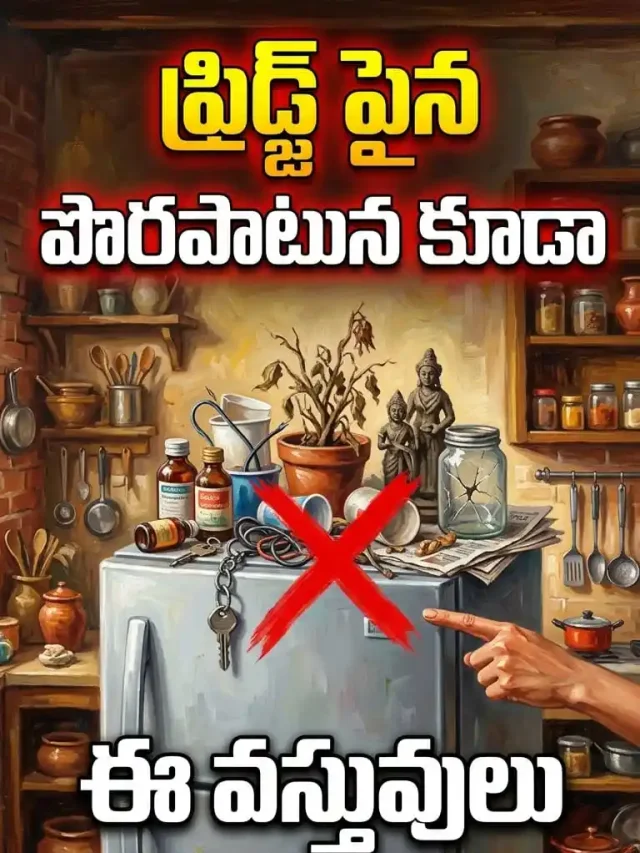 ఫ్రిడ్జ్ పైన పొరపాటున కూడా ఈ వస్తువులు పెట్టకండి.. తీవ్రమైన వాస్తు దోషం!