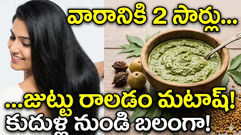 Hair fall control home remedy with natural ingredients in Telugu