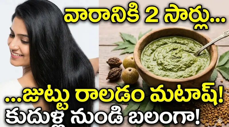 Hair fall control home remedy with natural ingredients in Telugu