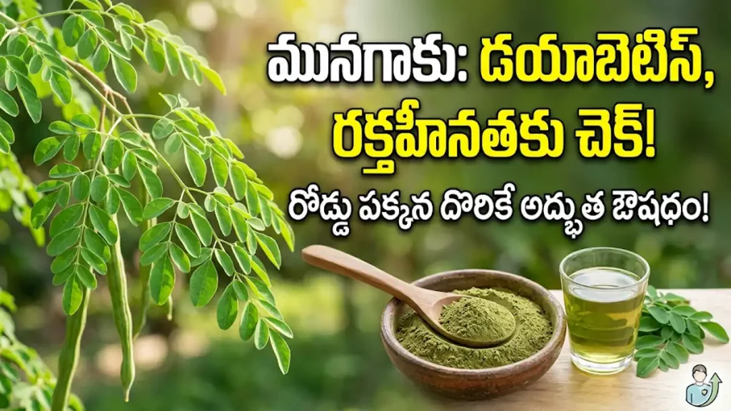 Moringa Leaves Health Benefits