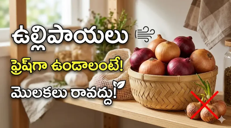 Onion Storage: ఉల్లిపాయలు త్వరగా మొలకెత్తుతున్నాయా? కుళ్లిపోతున్నాయా? ఇలా స్టోర్ చేస్తే ఎక్కువ రోజులు ఫ్రెష్‌గా ఉంటాయి!