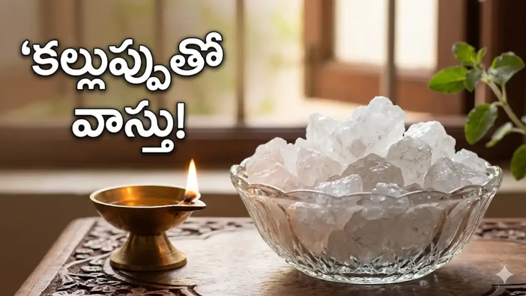 Rock Salt Vastu Tips in Telugu