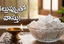 Rock Salt Vastu Tips in Telugu