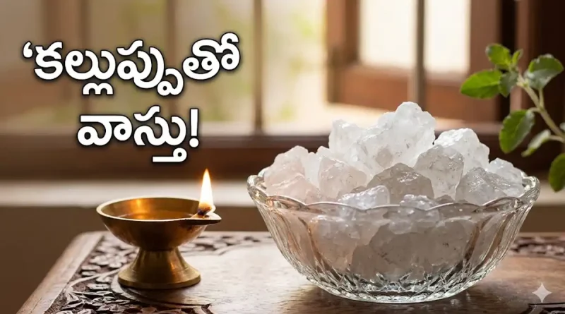 Rock Salt Vastu Tips in Telugu