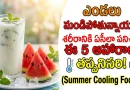 Summer Health Tips:ఎండలు మండిపోతున్నాయా? శరీరానికి ఏసీలా పనిచేసే ఈ 5 ఆహారాలు తప్పనిసరి!