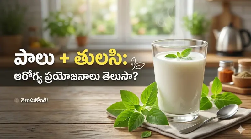 వేడి పాలలో తులసి ఆకులు వేసి మరిగించి తాగితే శరీరంలో ఏం జరుగుతుందో తెలుసా?