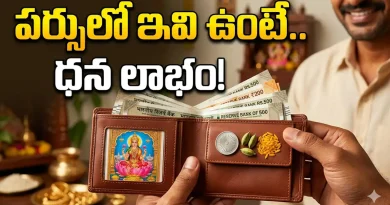 మీ పర్సులో డబ్బులు నిలవట్లేదా? అయితే అందులో వెంటనే ఈ మార్పులు చేయండి.. మనీకి లోటే ఉండదు!