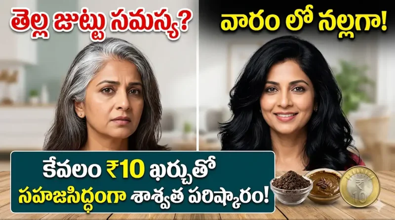 Home remedies for grey hair treatment at home for just 10 rupees