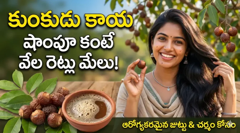Soapnuts benefits