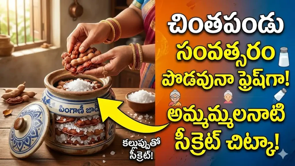 chintapandu storage tips