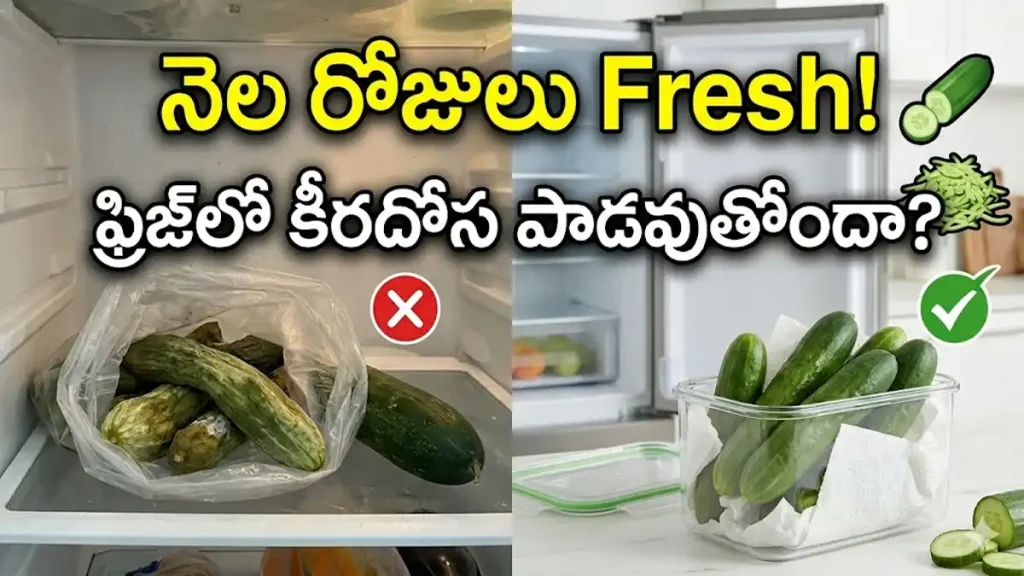 cucumber tips