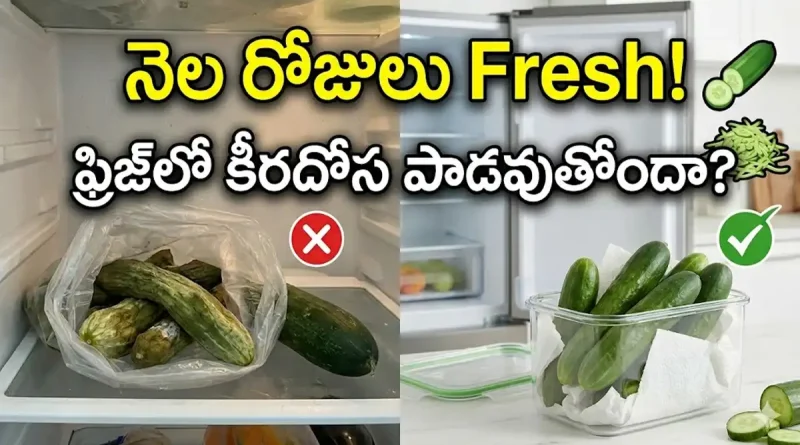 cucumber tips
