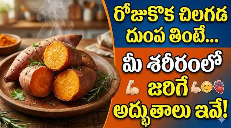 sweet potato