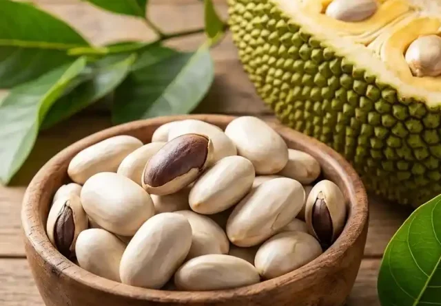 jack fruit seeds
