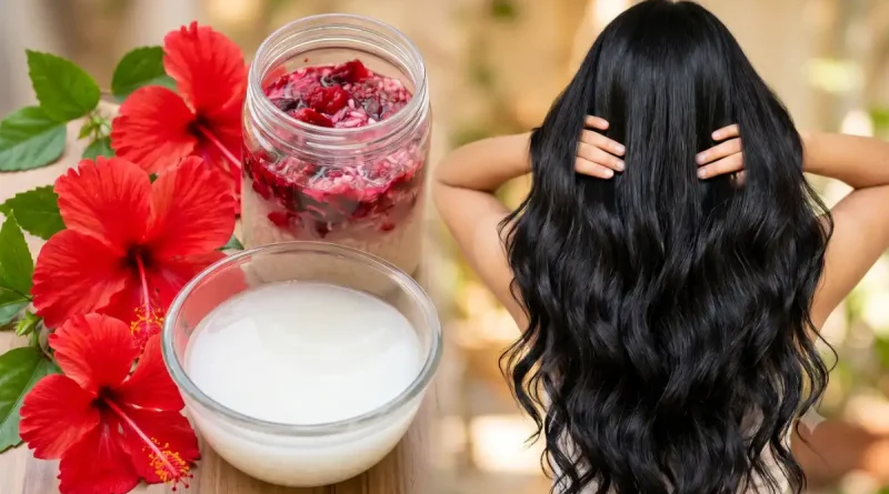 mandara hair care tips
