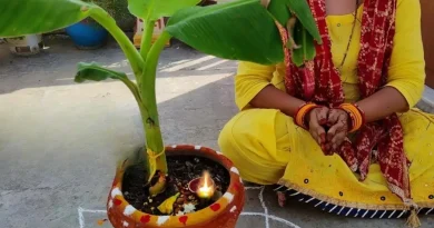 banana tree worship