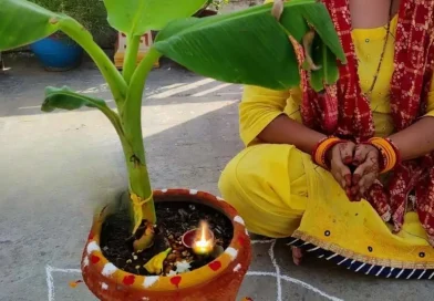 banana tree worship