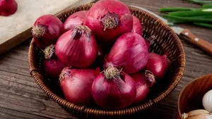 onion