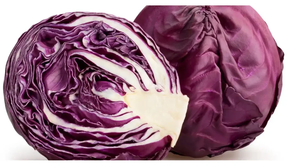 red cabbage